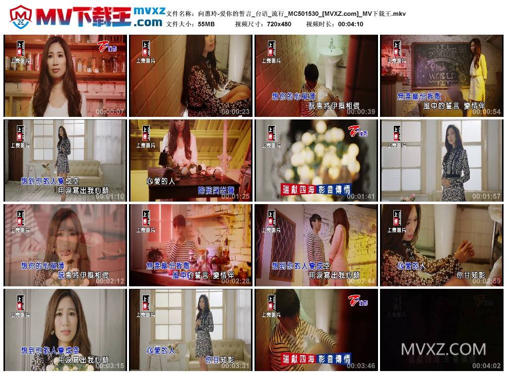 向蕙玲-爱你的誓言_台语_流行_MC501530